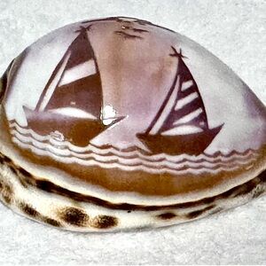 Carved Cowrie Shell Decorative Sailboat Design Seashell Coastal Beach Decor